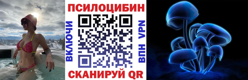 Псилоцибиновые грибы мицелий  Ковылкино 